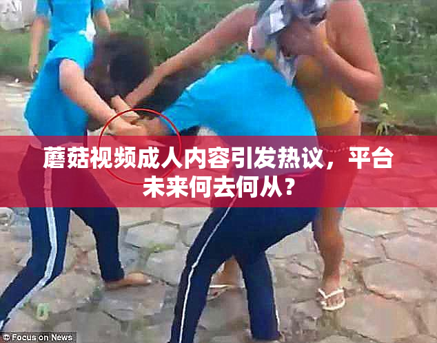 蘑菇视频成人内容引发热议，平台未来何去何从？