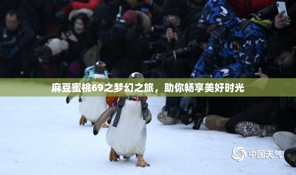 麻豆蜜桃69之梦幻之旅，助你畅享美好时光