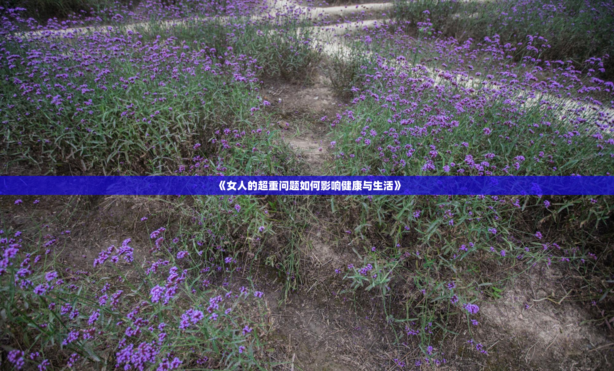 《女人的超重问题如何影响健康与生活》