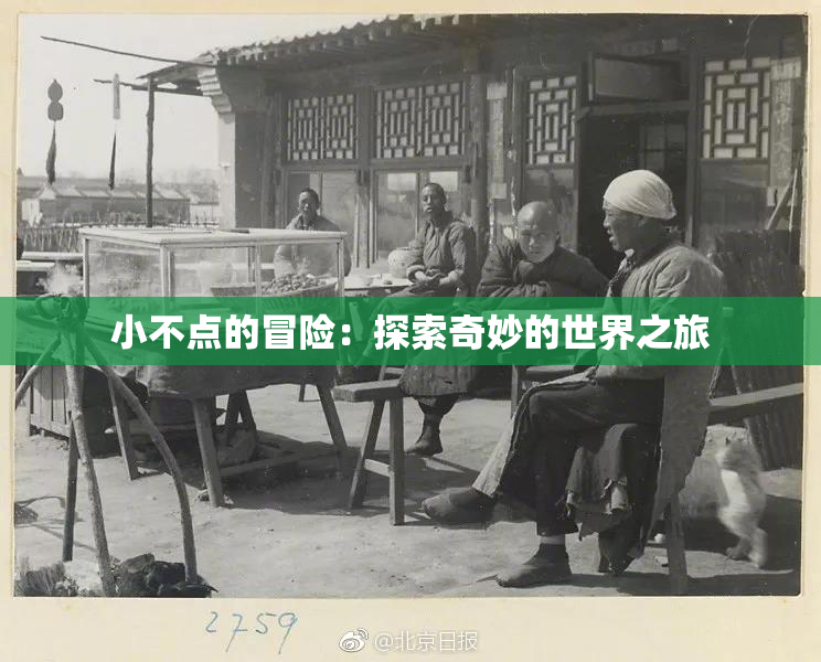 小不点的冒险：探索奇妙的世界之旅