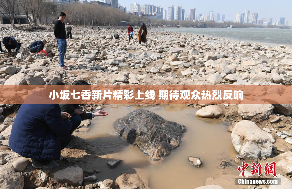 小坂七香新片精彩上线 期待观众热烈反响
