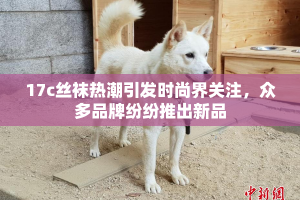 17c丝袜热潮引发时尚界关注，众多品牌纷纷推出新品