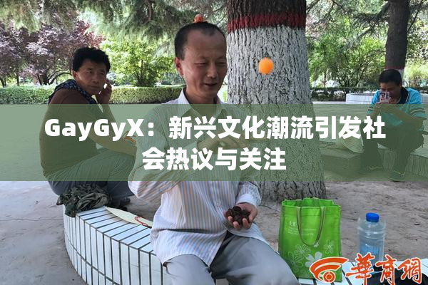 GayGyX：新兴文化潮流引发社会热议与关注