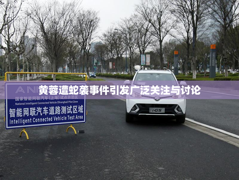 黄蓉遭蛇袭事件引发广泛关注与讨论
