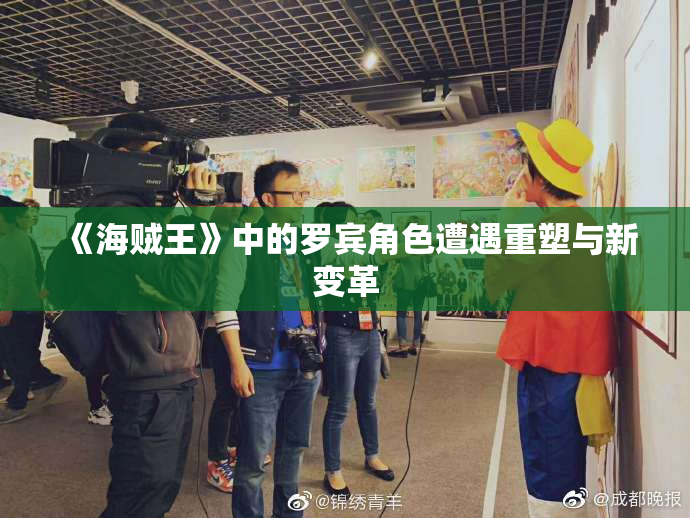 《海贼王》中的罗宾角色遭遇重塑与新变革