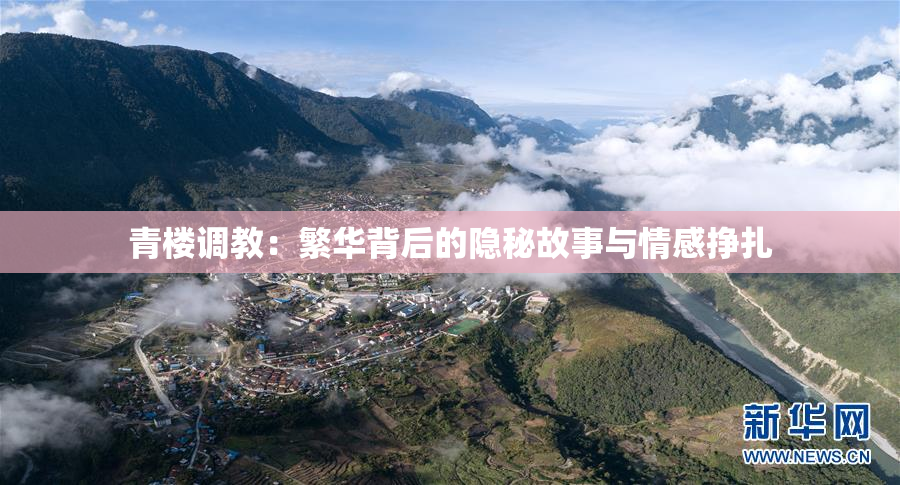 青楼调教：繁华背后的隐秘故事与情感挣扎