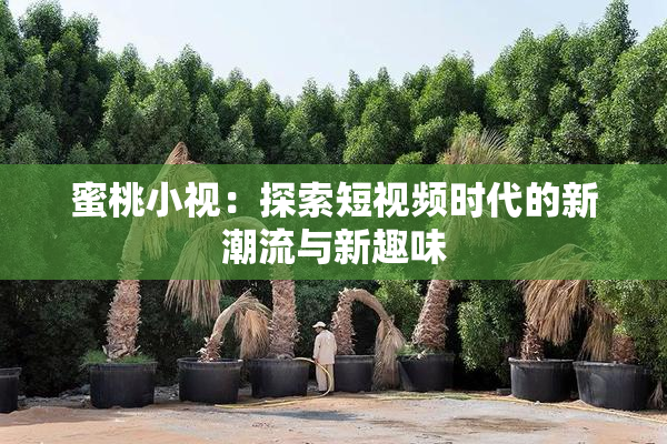 蜜桃小视：探索短视频时代的新潮流与新趣味