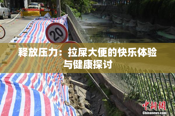 释放压力：拉屎大便的快乐体验与健康探讨
