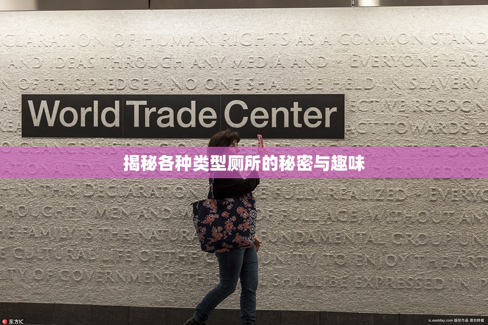 揭秘各种类型厕所的秘密与趣味