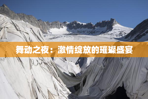 舞动之夜：激情绽放的璀璨盛宴