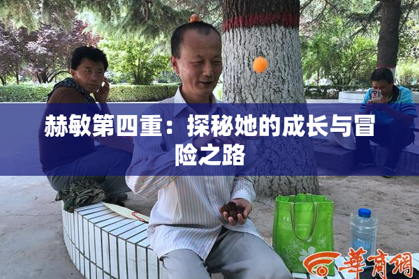 赫敏第四重：探秘她的成长与冒险之路