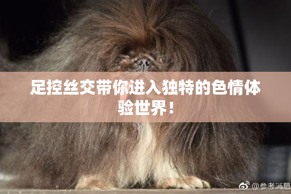 足控丝交带你进入独特的色情体验世界！