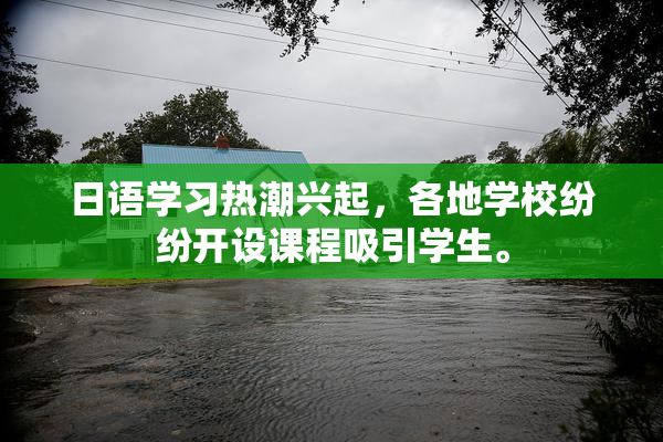 日语学习热潮兴起，各地学校纷纷开设课程吸引学生。