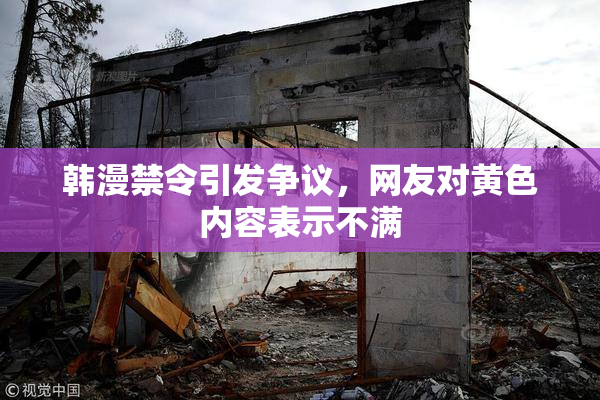 韩漫禁令引发争议，网友对黄色内容表示不满