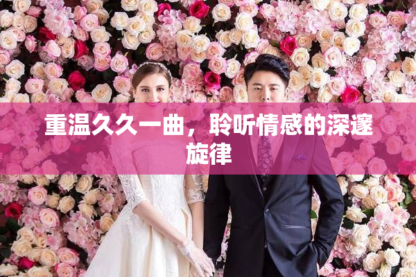 重温久久一曲，聆听情感的深邃旋律