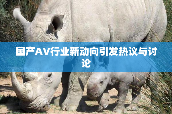 国产AV行业新动向引发热议与讨论