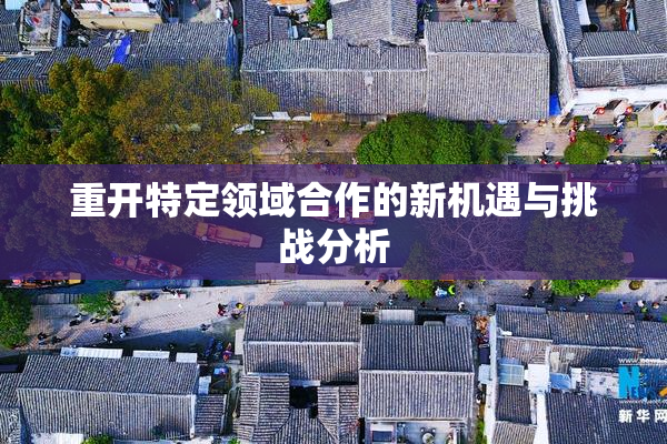 重开特定领域合作的新机遇与挑战分析