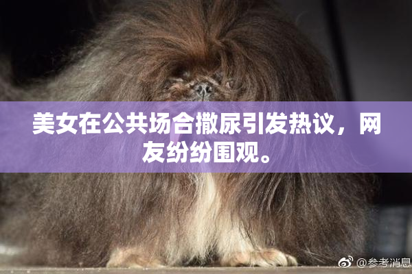 美女在公共场合撒尿引发热议，网友纷纷围观。