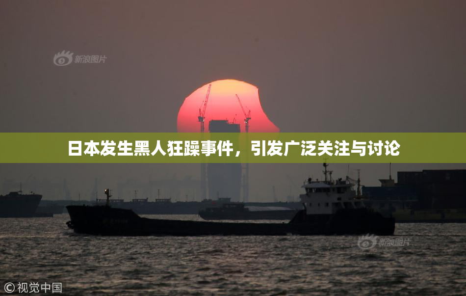 日本发生黑人狂躁事件，引发广泛关注与讨论