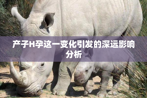 产子H孕这一变化引发的深远影响分析