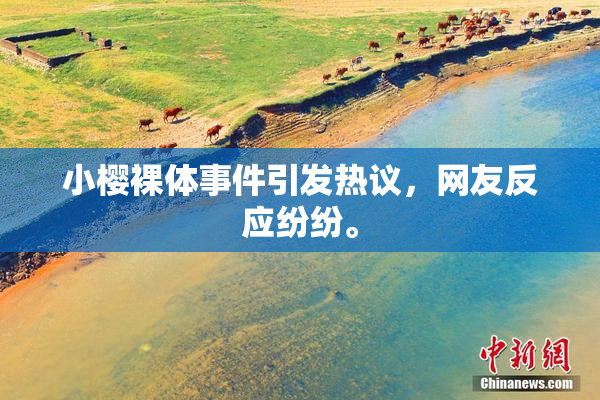 小樱裸体事件引发热议，网友反应纷纷。