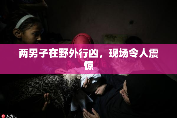 两男子在野外行凶，现场令人震惊