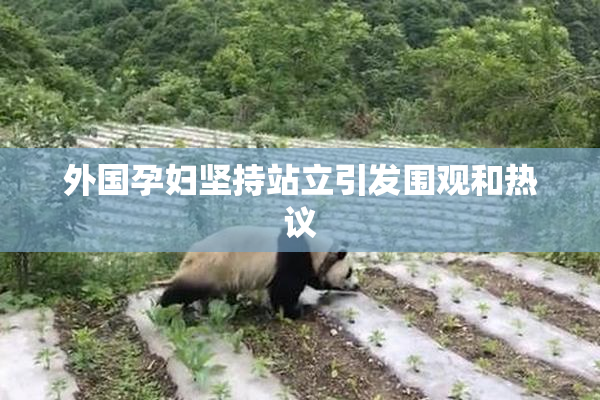 外国孕妇坚持站立引发围观和热议