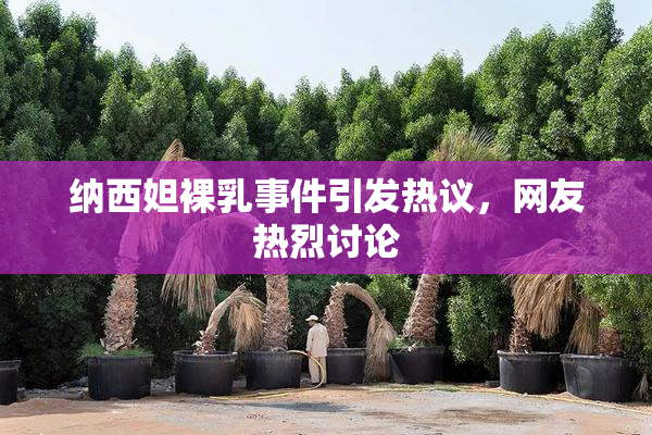 纳西妲裸乳事件引发热议，网友热烈讨论