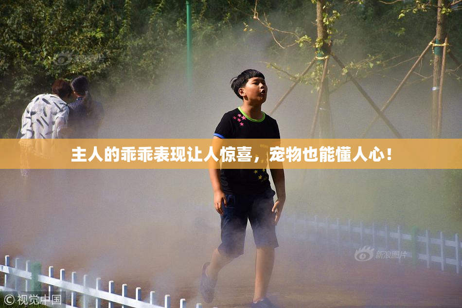 主人的乖乖表现让人惊喜，宠物也能懂人心！