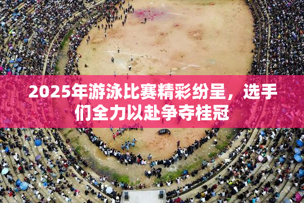 2025年游泳比赛精彩纷呈，选手们全力以赴争夺桂冠