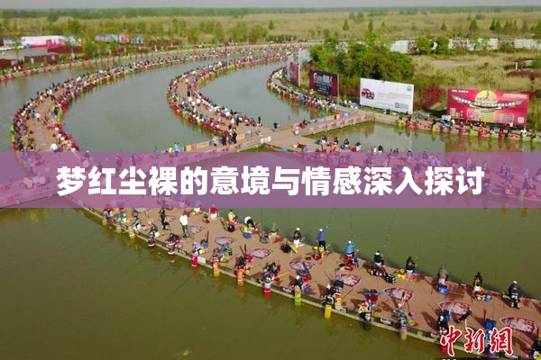 梦红尘裸的意境与情感深入探讨