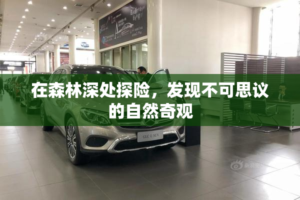 在森林深处探险，发现不可思议的自然奇观