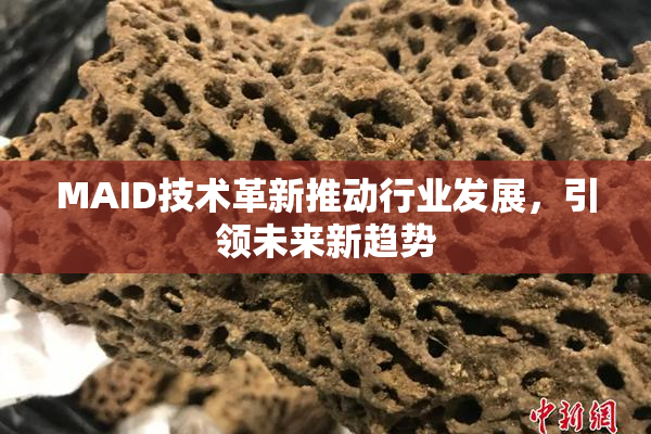 MAID技术革新推动行业发展，引领未来新趋势