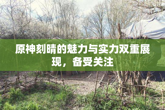 原神刻晴的魅力与实力双重展现，备受关注