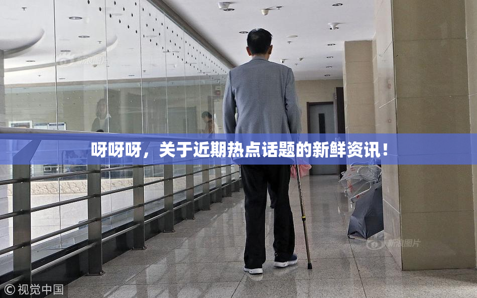 呀呀呀，关于近期热点话题的新鲜资讯！