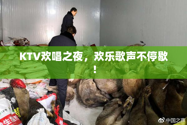 KTV欢唱之夜，欢乐歌声不停歇！