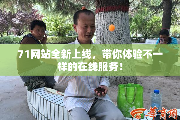 71网站全新上线，带你体验不一样的在线服务！