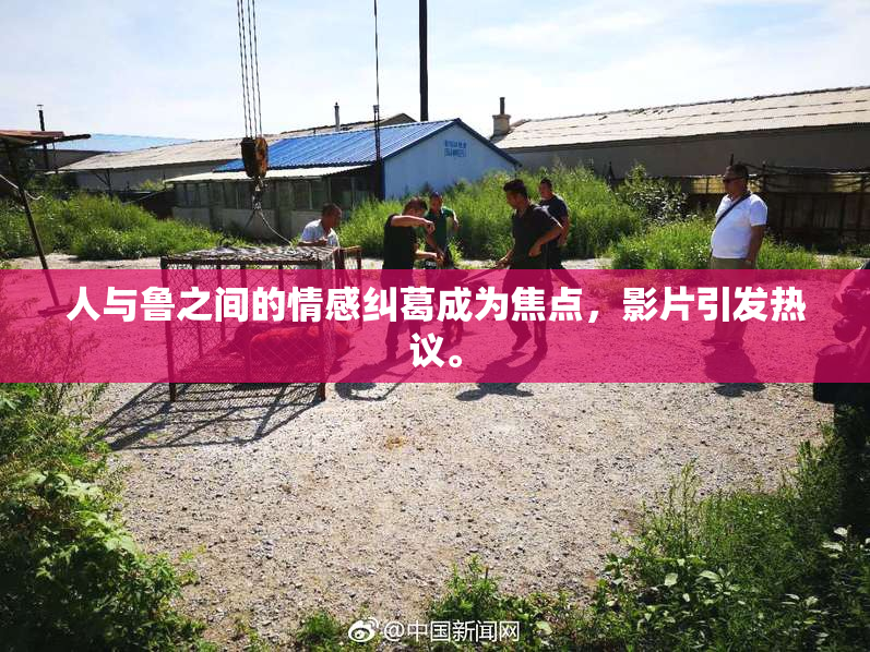 人与鲁之间的情感纠葛成为焦点，影片引发热议。