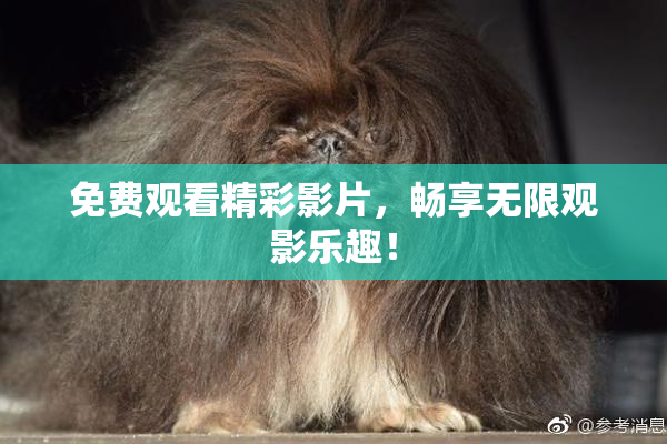 免费观看精彩影片，畅享无限观影乐趣！