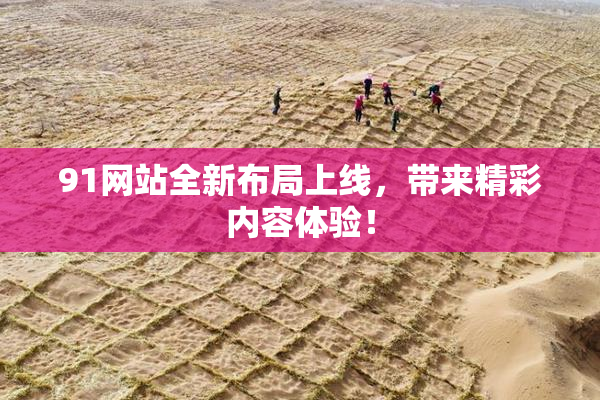 91网站全新布局上线，带来精彩内容体验！
