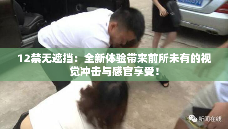 12禁无遮挡：全新体验带来前所未有的视觉冲击与感官享受！