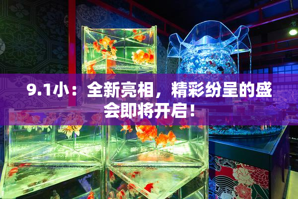 9.1小：全新亮相，精彩纷呈的盛会即将开启！