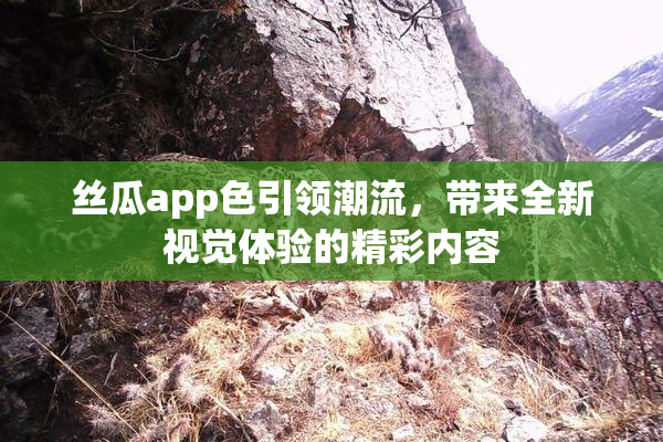 丝瓜app色引领潮流，带来全新视觉体验的精彩内容