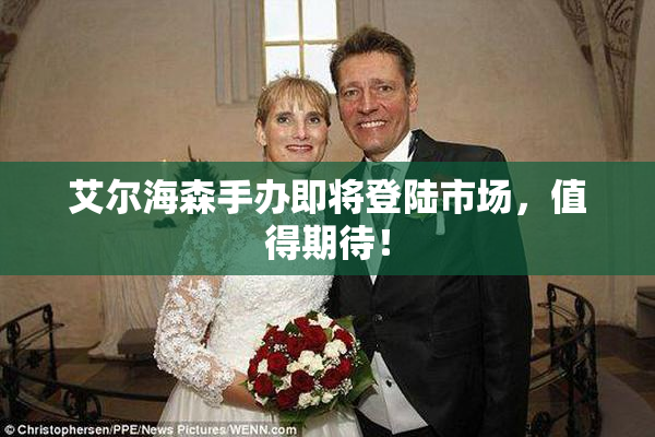 艾尔海森手办即将登陆市场，值得期待！