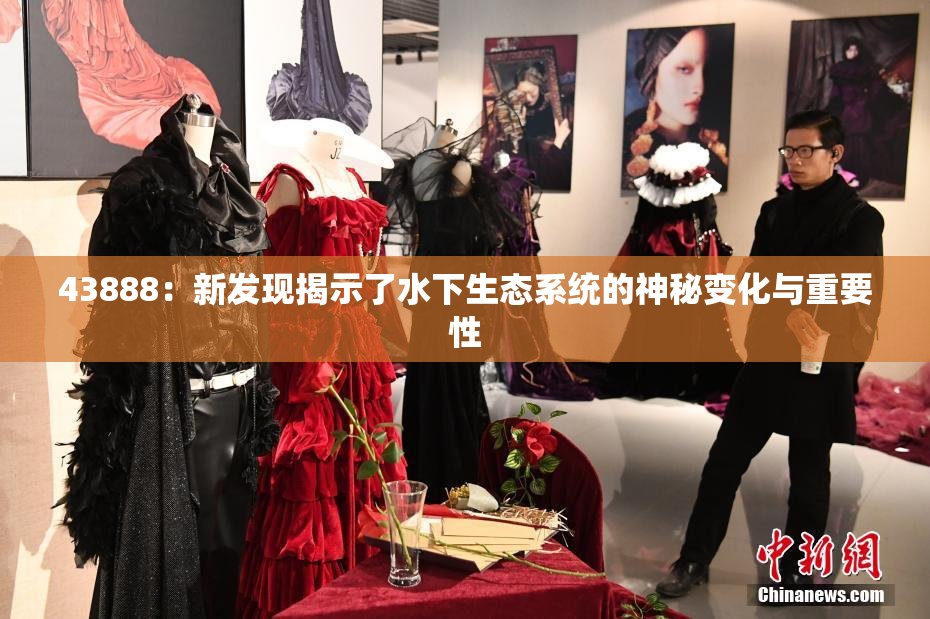 43888：新发现揭示了水下生态系统的神秘变化与重要性