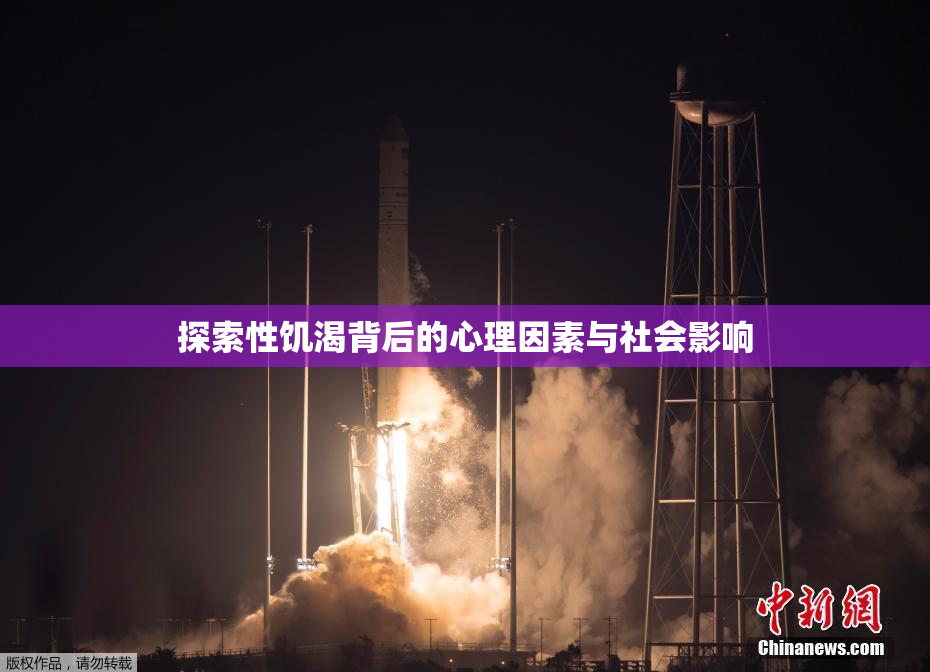 探索性饥渴背后的心理因素与社会影响
