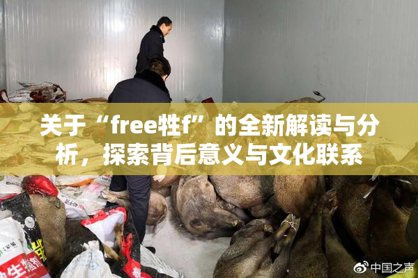 关于“free牲f”的全新解读与分析，探索背后意义与文化联系