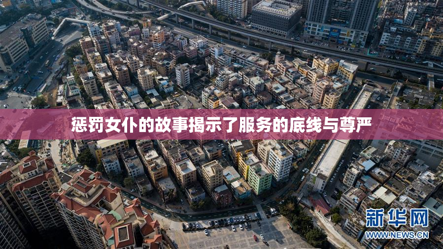 惩罚女仆的故事揭示了服务的底线与尊严