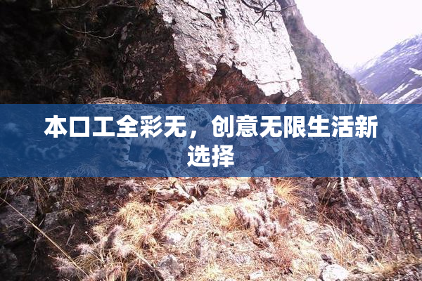 本口工全彩无，创意无限生活新选择