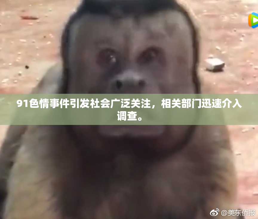 91色情事件引发社会广泛关注，相关部门迅速介入调查。